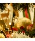 Χρυσό κολιέ γούρι 2026 9Κ κύκλος διάτρητος D055011 D055011